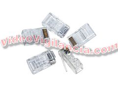 CONECTOR RJ45 CAT5/6 25 UNIDADES