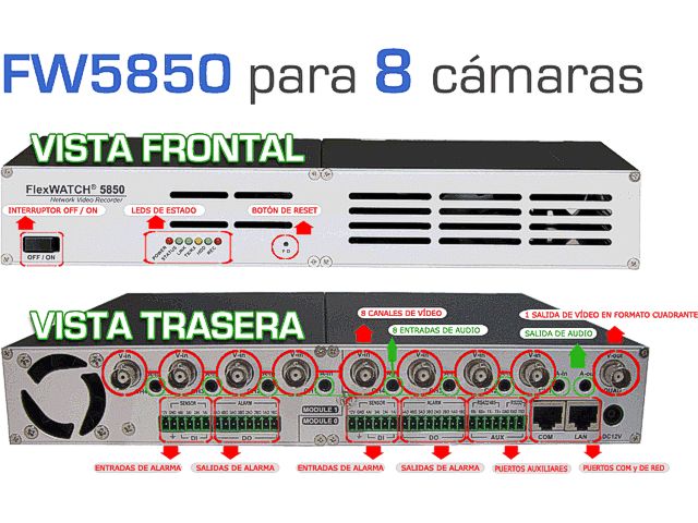 Conexiones del Servidor de vídeo Flexwatch 5850