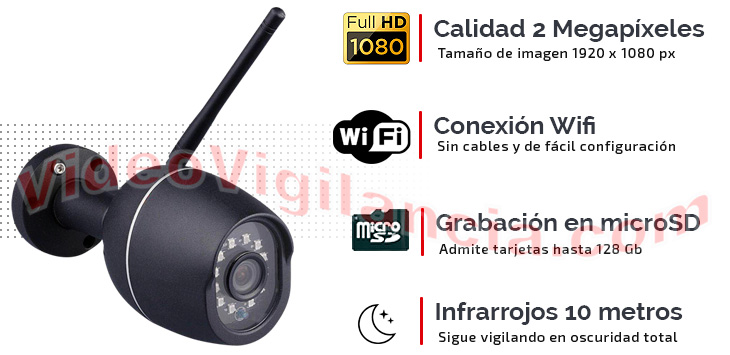 Cámara IP Wifi de exterior con grabación, infrarrojos y micrófono.